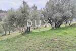 Zemljiste, Cerovlje, Grimalda, prodaja, 23500 €, 2529 m2