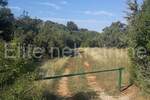 Zemljiste, Vodnjan, Peroj, najam, 200000 €, 26000 m2
