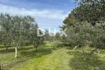 Zemljiste, Mali Lošinj, prodaja, 265000 €, 4260 m2