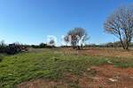 Zemljiste, Marčana, Loborika, prodaja, 330000 €, 2712 m2