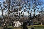 Kuca, Raša, Brgod, prodaja, 200000 €, 75 m2