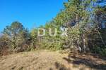 Zemljiste, Buzet, Sveti Donat, prodaja, 105000 €, 14619 m2