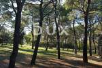 Zemljiste, Rovinj, prodaja, 954000 €, 3670 m2