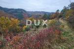 Zemljiste, Buzet, prodaja, 33000 €, 8721 m2