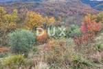 Zemljiste, Buzet, prodaja, 33000 €, 8721 m2