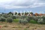 Zemljiste, Buje, prodaja, 250000 €, 1423 m2