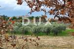 Zemljiste, Buje, prodaja, 250000 €, 1423 m2