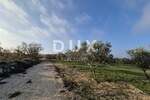 Zemljiste, Buje, prodaja, 250000 €, 1423 m2