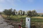 Zemljiste, Buje, prodaja, 175000 €, 995 m2