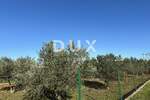Zemljiste, Zadar, Crno, prodaja, 145000 €, 2046 m2