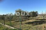 Zemljiste, Zadar, Crno, prodaja, 145000 €, 2046 m2