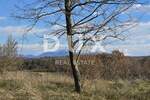 Zemljiste, Pazin, Heki, prodaja, 50000 €, 988 m2