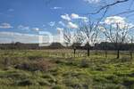 Zemljiste, Pazin, Heki, prodaja, 50000 €, 988 m2