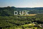 Zemljiste, Oprtalj, Livade, prodaja, 310000 €, 13500 m2