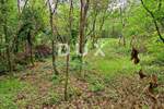 Zemljiste, Buzet, Roč, prodaja, 98000 €, 2700 m2