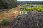 Zemljiste, Mali Lošinj, Punta Križa, prodaja, 90000 €, 7300 m2