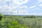 Zemljiste, Sveti Lovreč, prodaja, 120000 €, 530 m2