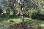 Zemljiste, Barban, Glavani, prodaja, 40000 €, 504 m2