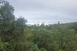 Zemljiste, Rijeka, Drenova, prodaja, 215000 €, 4500 m2