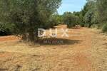 Zemljiste, Bale, prodaja, 47000 €, 3060 m2