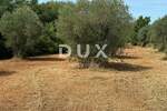 Zemljiste, Bale, prodaja, 47000 €, 3060 m2