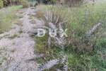 Zemljiste, Marčana, prodaja, 432000 €, 6162 m2