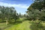 Zemljiste, Mali Lošinj, Punta Križa, prodaja, 260000 €, 4260 m2