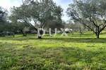 Zemljiste, Mali Lošinj, Punta Križa, prodaja, 260000 €, 4260 m2
