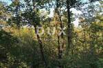 Zemljiste, Pićan, prodaja, 9000 €, 1689 m2