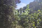 Zemljiste, Marčana, Kavran, prodaja, 193350 €, 19335 m2