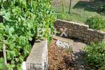 Kuca, Cres, Loznati, prodaja, 235000 €, 50 m2