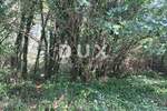 Zemljiste, Kaštelir-Labinci, Kaštelir, prodaja, 74700 €, 7470 m2