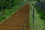 Kuca, Labin, prodaja, 390000 €, 150 m2