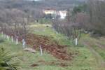 Kuca, Labin, prodaja, 390000 €, 150 m2