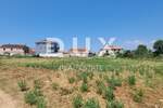 Zemljiste, Ližnjan, Šišan, prodaja, 220000 €, 1699 m2