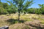 Zemljiste, Brtonigla, prodaja, 155000 €, 9862 m2