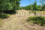 Zemljiste, Brtonigla, prodaja, 155000 €, 9862 m2