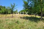 Zemljiste, Brtonigla, prodaja, 155000 €, 9862 m2