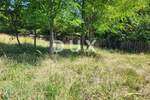 Zemljiste, Brtonigla, prodaja, 155000 €, 9862 m2