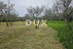 Zemljiste, Fažana, prodaja, 99000 €, 3170 m2