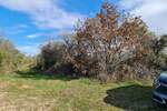 Zemljiste, Fažana, prodaja, 99000 €, 3170 m2