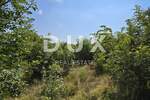 Zemljiste, Marčana, Krnica, prodaja, 154000 €, 3830 m2
