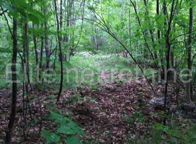 Zemljiste, Matulji, Rukavac, prodaja, 14000 €, 3302 m2
