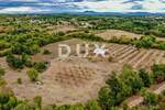 Kuca, Barban, prodaja, 889000 €, 200 m2