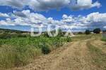 Zemljiste, Vižinada, prodaja, 105000 €, 735 m2