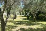 Zemljiste, Zadar, Kožino, prodaja, 335830 €, 781 m2