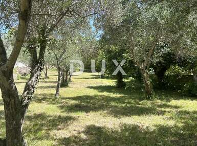 Zemljiste, Zadar, Kožino, prodaja, 335830 €, 781 m2