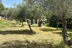 Zemljiste, Zadar, Kožino, prodaja, 335830 €, 781 m2