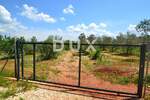 Zemljiste, Novigrad, prodaja, 300000 €, 14349 m2