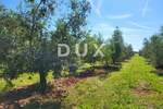 Zemljiste, Novigrad, prodaja, 300000 €, 14349 m2
